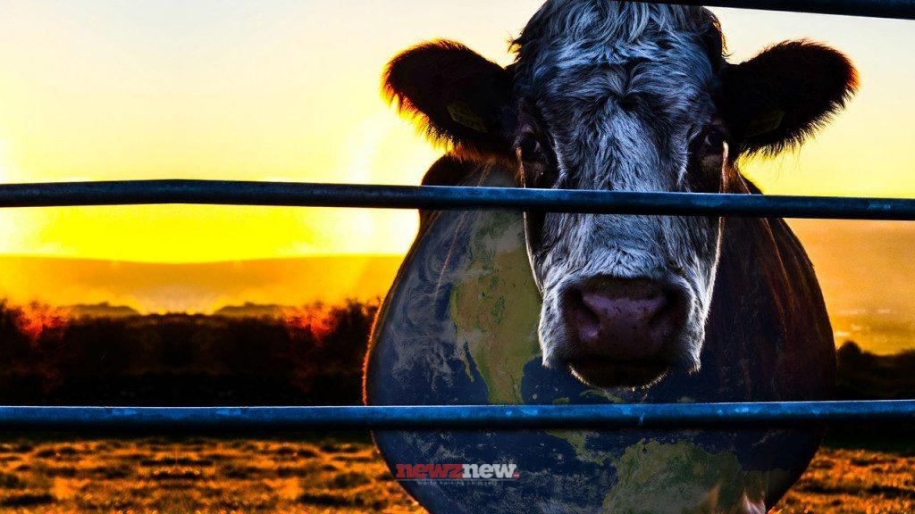 7 Best Vegan Documentaries on Netflix (September 2025)