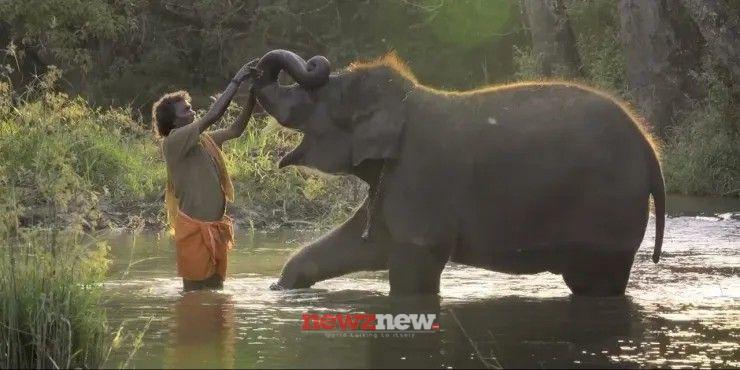 40 Best Short Movies on Netflix (September 2025)