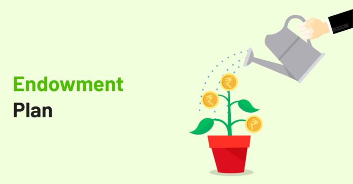 How Endowment Plans Combine Insurance and Savings Effectively