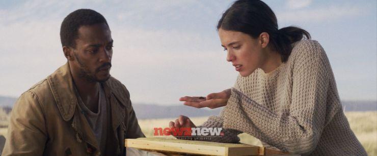 11 Best Movies About Climate Change on Netflix (September 2025)