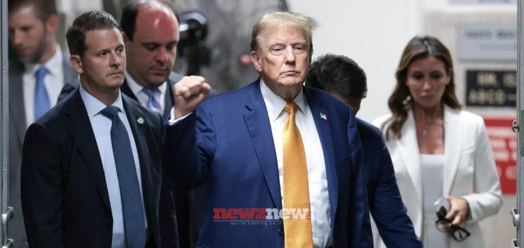 14 Best Movies and Shows About Donald Trump You Can Watch Online