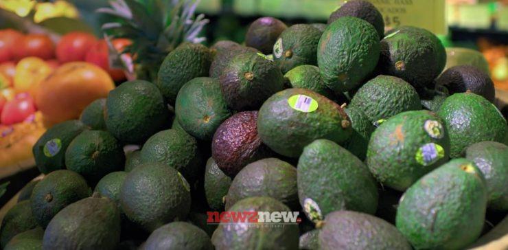 7 Best Vegan Documentaries on Netflix (September 2025)