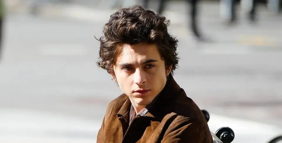 Timothée Chalamet: All Upcoming Movies in 2025 and 2026