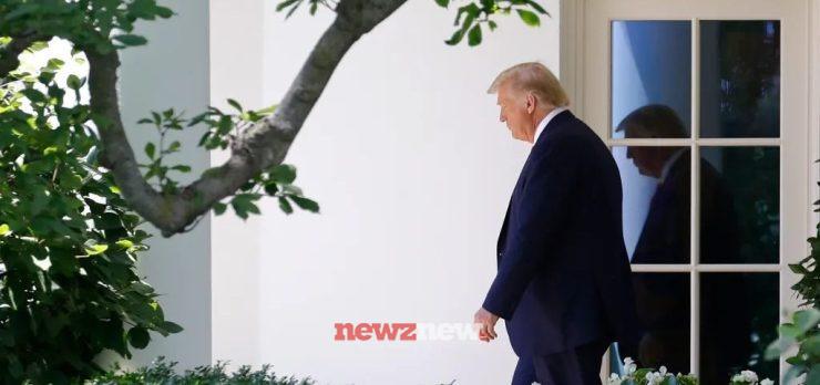 14 Best Movies and Shows About Donald Trump You Can Watch Online