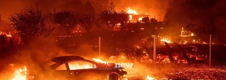 40 Best Short Movies on Netflix (September 2025)