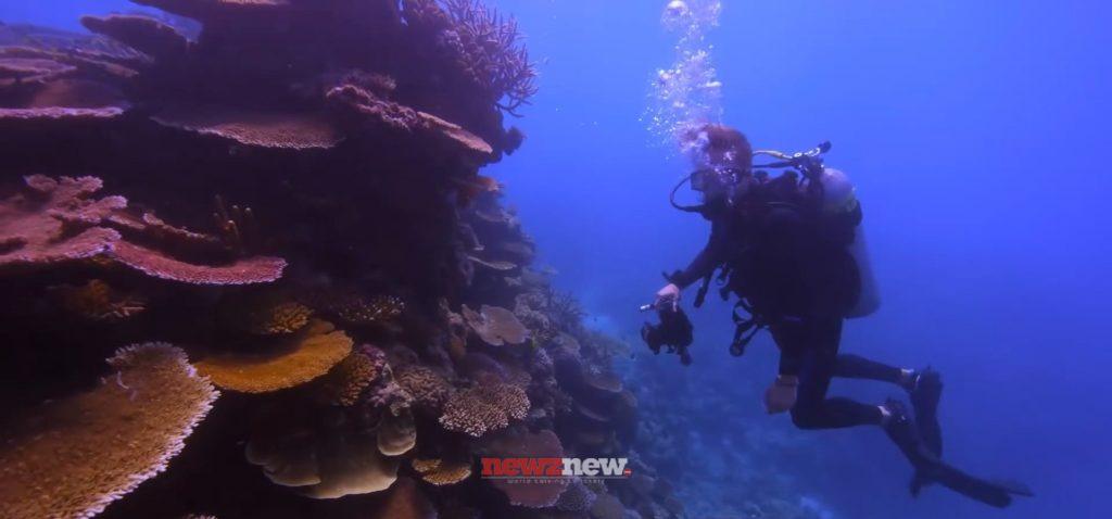 11 Best Movies About Climate Change on Netflix (September 2025)