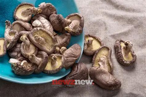 10 Superfoods to Boost Immunity in the Post-Pandemic Era