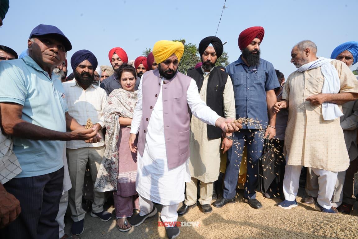 Punjab Procures 61.01 Lakh MT, Rs 13,073.07 Crore Paid to Farmers: CM