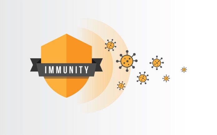 10 Superfoods to Boost Immunity in the Post-Pandemic Era