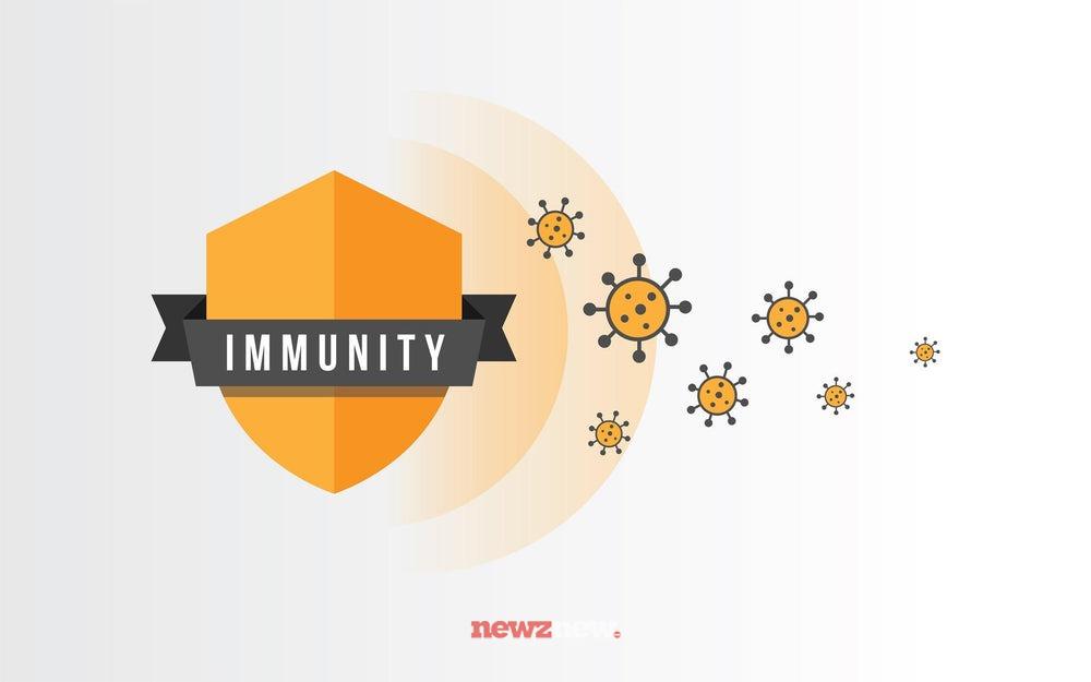 10 Superfoods to Boost Immunity in the Post-Pandemic Era