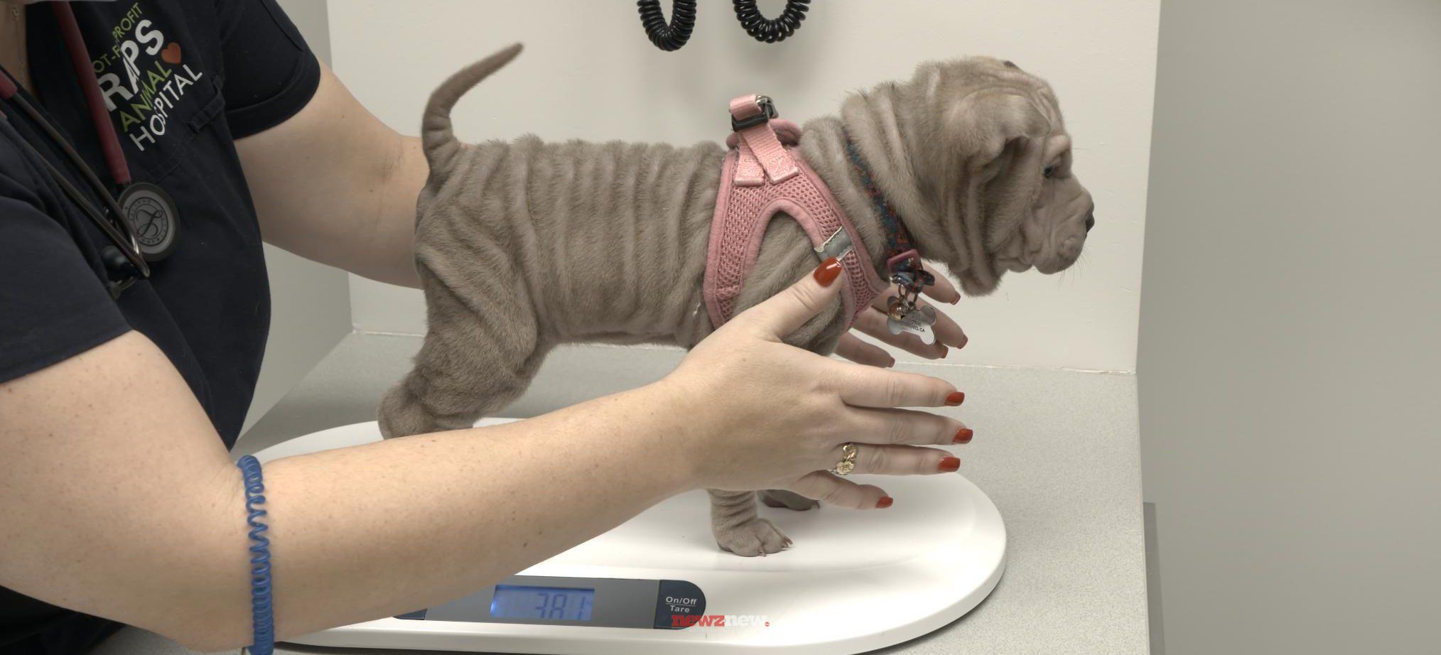 18 Best Medical Shows on HBO Max