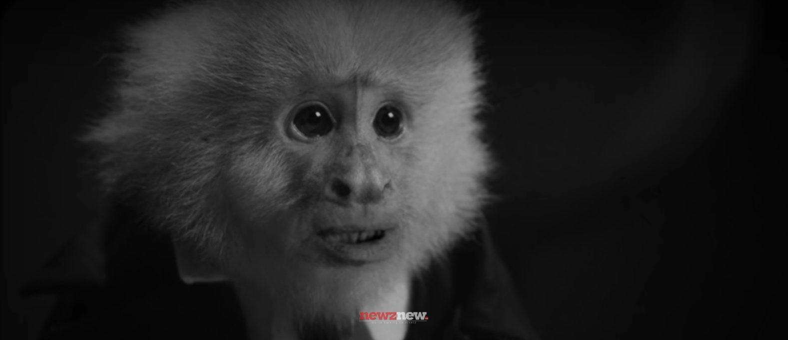 41 Best Short Movies on Netflix