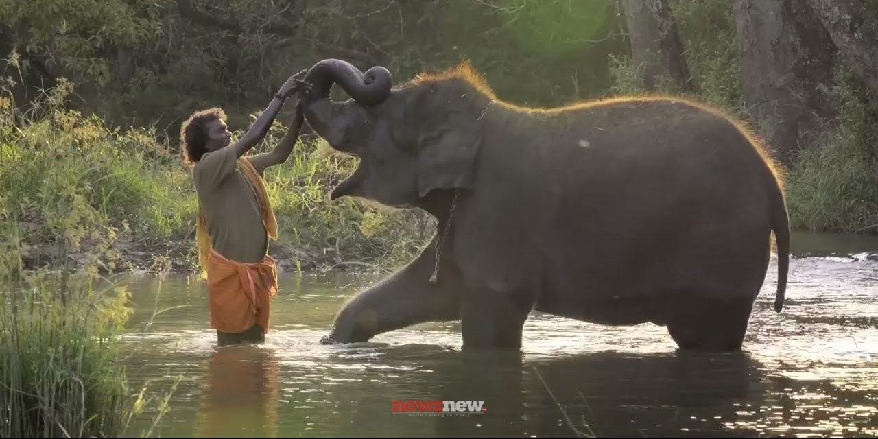 41 Best Short Movies on Netflix