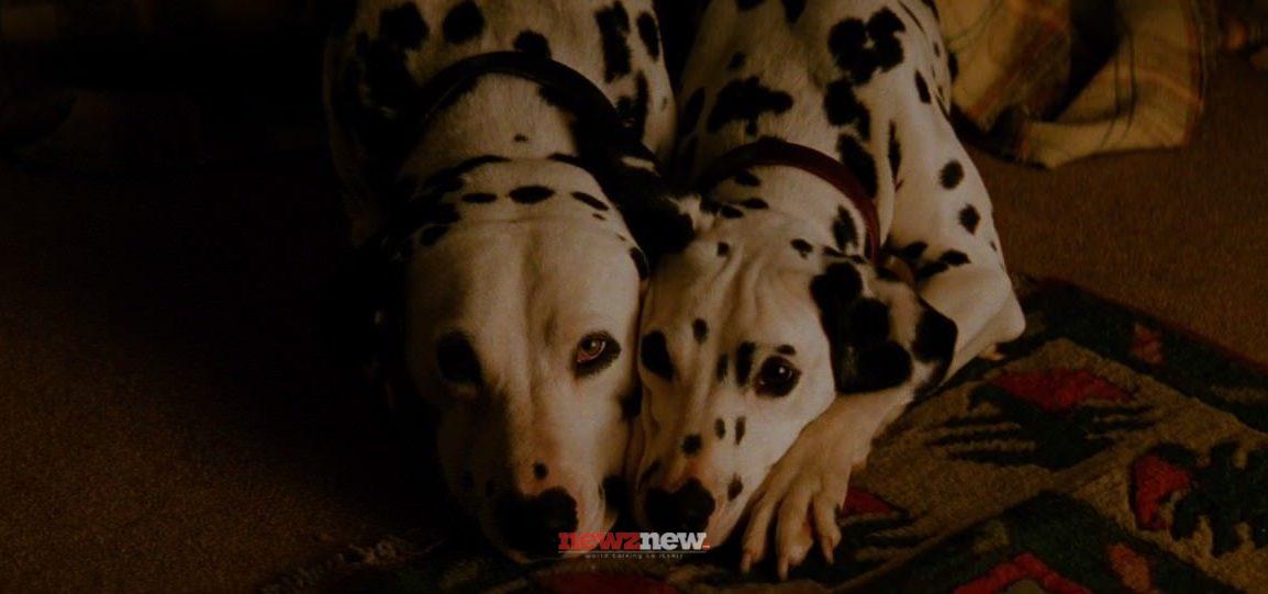 17 Best Christmas and Holiday Movies on Disney Plus