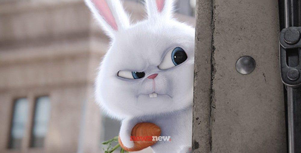 18 Best Kevin Hart Movies and Shows on Netflix