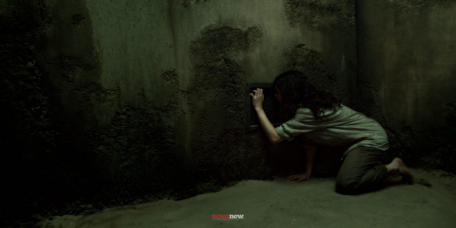 12 Shows Like Pluribus You Must See