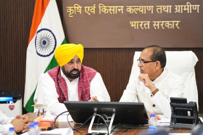 Punjab Govt will promote alternative crops like maize, pulses, oilseeds, sunflower and bajra instead of paddy: CM Bhagwant Singh Mann