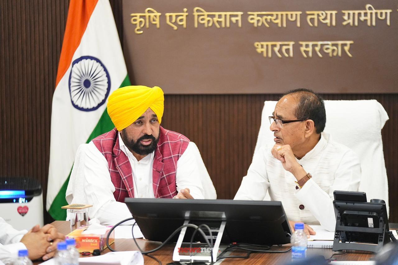Punjab Govt will promote alternative crops